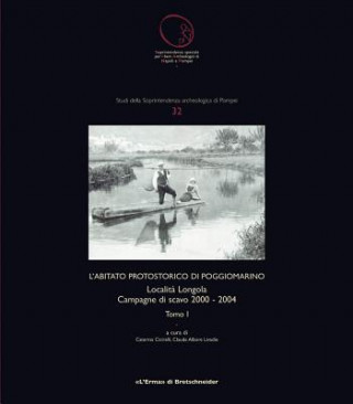 L'Abitato Protostorico Di Poggiomarino: Localita Longola Campagne Di Scavo 2000-2004