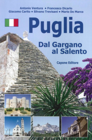 Puglia. Dal Gargano al Salento. Ediz. multilingue