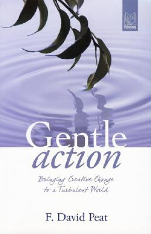 Gentle Action: Bringing Creative Change to a Turbulent World