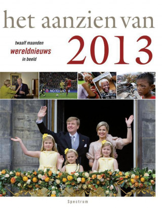 Het aanzien van 2013