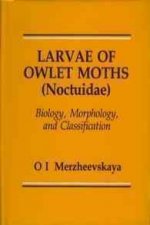 Larvae of Owlet Moths (Noctuidae): Biology, Morphology and Classification