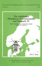 The Aphidoidea (Hemiptera) of Fennoscandia and Denmark.IV: Family Aphididae: Part 1 of Tribe Macrosiphini of Subfamily Aphidinae