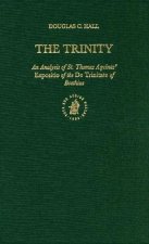 The Trinity: An Analysis of St. Thomas Aquinas' Expositio of the de Trinitate of Boethius