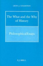 The What and the Why of History: Philosophical Essays
