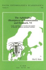 The Aphidoidea (Hemiptera) of Fennoscandia and Denmark. VI: Family Aphididae: Part 3 of Tribe Macrosiphini of Subfamily Aphidinae, and Family Lachnida