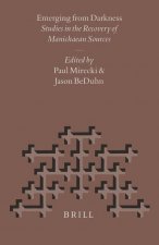 Nag Hammadi and Manichaean Studies, Emerging from Darkness: Studies in the Recovery of Manichaean Sources