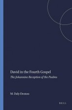 David in the Fourth Gospel