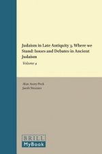 Judaism in Late Antiquity 3. Where We Stand: Issues and Debates in Ancient Judaism: Volume 4