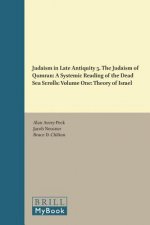 Judaism in Late Antiquity 5. the Judaism of Qumran: A Systemic Reading of the Dead Sea Scrolls: Volume One: Theory of Israel