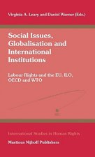 Social Issues, Globalisation and International Institutions: Labour Rights and the Eu, ILO, OECD and Wto