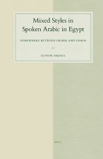 Mixed Styles in Spoken Arabic in Egypt: Somewhere Between Order and Chaos