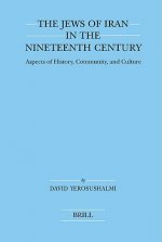 The Jews of Iran in the Nineteenth Century: Aspects of History, Community, and Culture