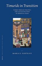 Timurids in Transition: Turko-Persian Politics and Acculturation in Medieval Iran
