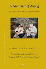 A Grammar of Anong: Language Death Under Intense Contact