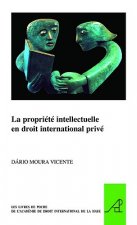La Propriete Intellectuelle En Droit International Prive