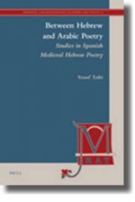 Between Hebrew and Arabic Poetry: Studies in Spanish Medieval Hebrew Poetry