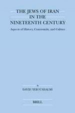 The Jews of Iran in the Nineteenth Century (Paperback): Aspects of History, Community, and Culture