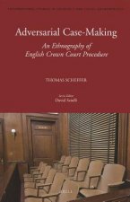 Adversarial Case-Making: An Ethnography of English Crown Court Procedure