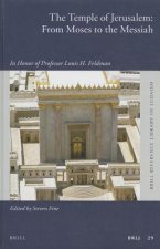 The Temple of Jerusalem: From Moses to the Messiah: In Honor of Professor Louis H. Feldman