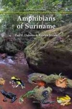Amphibians of Suriname