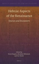 Hebraic Aspects of the Renaissance: Sources and Encounters