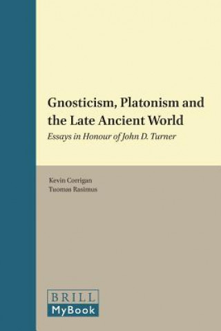 Gnosticism, Platonism and the Late Ancient World: Essays in Honour of John D. Turner