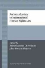 An Introduction to International Human Rights Law