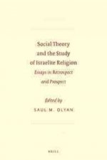 Social Theory and the Study of Israelite Religion: Essays in Retrospect and Prospect
