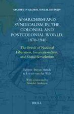 Anarchism and Syndicalism in the Colonial and Postcolonial World, 1870-1940: The Praxis of National Liberation, Internationalism, and Social Revolutio