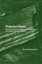 Plebeian Power: Collective Action and Indigenous, Working-Class and Popular Identities in Bolivia