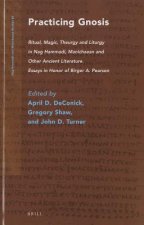 Practicing Gnosis: Ritual, Magic, Theurgy and Liturgy in Nag Hammadi, Manichaean and Other Ancient Literature
