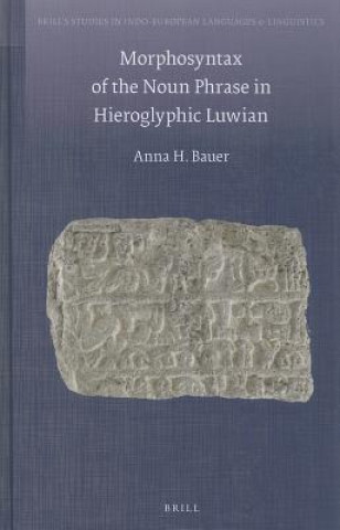 Morphosyntax of the Noun Phrase in Hieroglyphic Luwian