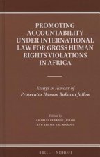 Promoting Accountability Under International Law for Gross Human Rights Violations in Africa: Essays in Honour of Prosecutor Hassan Bubacar Jallow