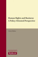 Human Rights and Business: A Policy-Oriented Perspective