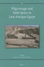 Pilgrimage and Holy Space in Late Antique Egypt