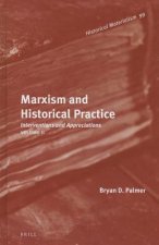Marxism and Historical Practice (Vol. II): Interventions and Appreciations. Volume II