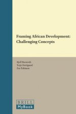 Framing African Development: Challenging Concepts