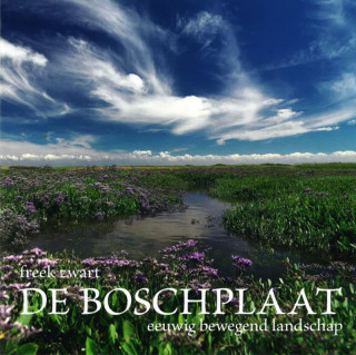 De Boschplaat