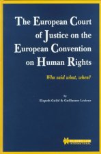 The European Court of Justice on the European Convention on Human Rights: Who Said What, When