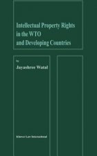 Intellectual Property Rights in the Wto and Developing Countries