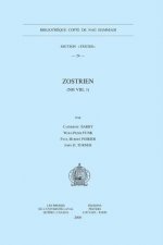 Zostrien (NH VIII, 1)