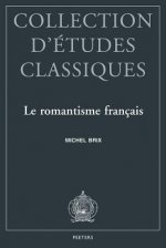Le Romantisme Francais: Esthetique Platonicienne Et Modernite Litteraire
