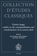 Virtutis Imago: Studies on the Conceptualisation and Transformation of an Ancient Ideal