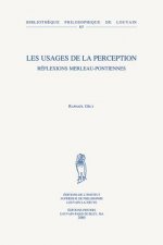 Les Usages de La Perception: Reflexions Merleau-Pontiennes
