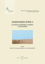 Chagar Bazar (Syrie) II: Les Vestiges Post-Akkadiens Du Chantier D Et Etudes Diverses