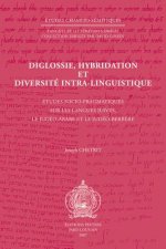 Diglossie, Hybridation Et Diversite Intra-Linguistique: Etudes Socio-Pragmatiques Sur Les Langues Juives, Le Judeo-Arabe Et Le Judeo-Berbere