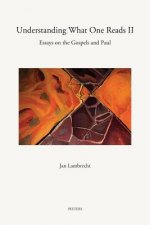 Understanding What One Reads II: Essays on the Gospels and Paul (2003-2011)