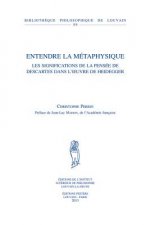 Entendre La Metaphysique: Les Significations de La Pensee de Descartes Dans L'Oeuvre de Heidegger