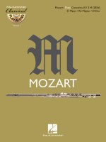 Flute Concerto in D Major, KV 314 (285D)