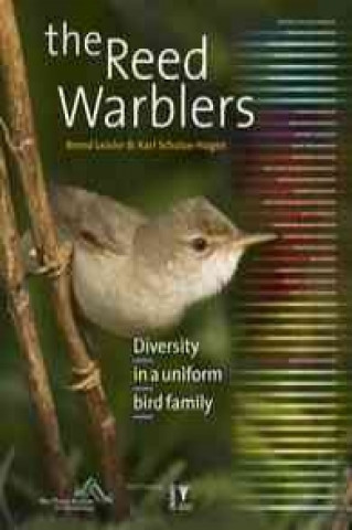 The Reed Warblers: Diversity in a Uniform Bird Family